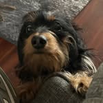Melissa Spell - @medizzyspell - Instagram