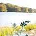 Melissa Spell, Independent Willow House Design Consultant - Facebook