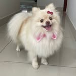 Melissa - @melissa.spitz.lulu - Instagram