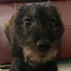 Mélissa - @melissa.spitz - TikTok