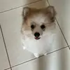melissa_spitz - @melissa_spitz - TikTok