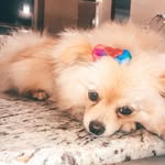 Melissa_Spitz - @melissa_sptiz1 - Instagram