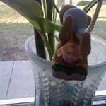 Melissa Spores - @melissaspores - Instagram