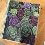 Melissa Spradley - @planningzoo_melissa - Instagram