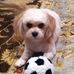 Melissa Springhetti - Facebook