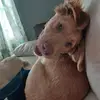 Gary N Melissa Stack - @gary.n.melissa.st - TikTok