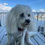 Melissa Stanfield - @mooch13809 - Instagram