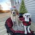 Melissa Moncrieff - Facebook