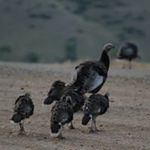 Melissa Stang - @talkinstick - Instagram