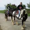 Melissa Stang - @domemelli1 - TikTok
