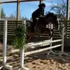 Melissa Steeves170 - @melissasteeves170 - TikTok