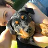 Melissa Steiger - @melissasteiger5 - TikTok