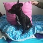 Melissas_tierwelt - @melissas_tiere - Instagram