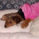 Melissa Stoddard - @melissa.stoddard35 - Instagram