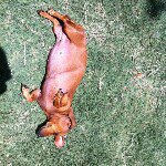 John and Melissa Stultz - @johnandmelissastultz - Instagram