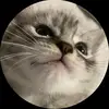 melissa stultz - @frdhorg - TikTok