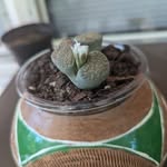 Melissa Suttles - @melissasuttles1965 - Instagram