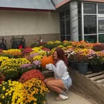 𝙼𝚎𝚕𝚒𝚜𝚜𝚊 𝚝𝚊𝚏𝚝 - @_me.lissaaaa_ - Instagram