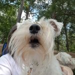 Melissa Talbert - @melissa_talbert_ - Instagram