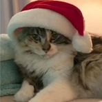 Melissa Teves - Facebook