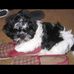 Melissa Thach - Facebook