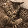 melissathacker1970 - @melissathacker1970 - TikTok