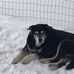Melissa S. Thill - Facebook