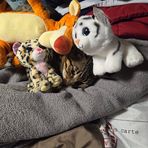 Melissa Thorson - Facebook