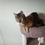 Melissa Thorson - @melissa.thorson.927 - Instagram