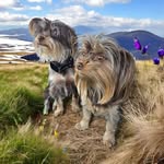 Melissa Tillery - @melissatllry38 - Instagram