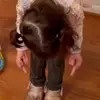 Melissa Tilley - @melissa.tilley4 - TikTok
