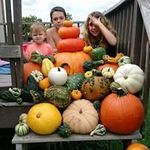 Melissa Timothy Tisinger - @melissatisinger - Instagram