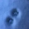 melissatinney178 - @melissatinney178 - TikTok
