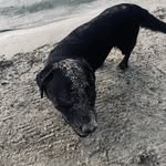 Melissa Lee - @melissa.tirrell.75 - Instagram