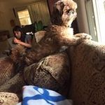 Melissa Tobywalk - @melissatobywalk - Instagram