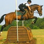 Melissa Hyde-Town - @irishjump1 - Instagram