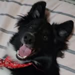 Melissa Tripoli - @marisachan848 - Instagram