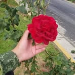 Melissa Troy - Facebook