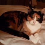 Melissa - @melissa_tschopp - Instagram
