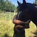 Melissa Tschopp - Facebook