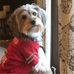 Melissa Twombly - Facebook