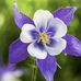 Melissa Vanderpool - Facebook