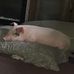 Melissa Vernon - Facebook