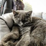 Melissa Voigt - @citycaty06 - Instagram