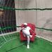 Voight Malaza - Facebook
