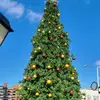 melissawaldron45 - @melissawaldron45 - TikTok