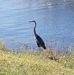 Melissa Wanamaker - Facebook