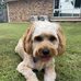 Melissa Wardell - Facebook