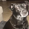 Melissa washer - @roxy1290 - TikTok