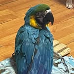 Melissa Chapman-Watrous - @watrous.melissa - Instagram